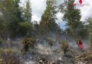 Schweiz: Holzfräsarbeiten lösten Waldbrand über ein Hektar Fläche aus