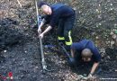 Deutschland: Feuerwehr Arnsberg befreit in dreistündigem Einsatz Hund aus Schlamm-Rohr