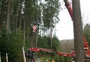 Oö: Bergung eines Holztransporters in Waldstück in Attnang