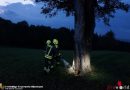 Nö: Glimmender Baum durch Blitzschlag in Biberbach