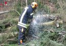 Deutschland: Einsätze der Feuerwehren der Gemeinde Bomlitz beim Sturm Niklas