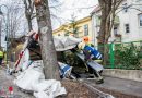 Nö: Sattelschlepper kollidiert mit in Straße ragenden Baum → Planenaufbau von Auflieger abgerissen