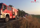 Nö: Flurbrand in Ebenfurth: Passanten löschten mit Mineralwasser und Füßen