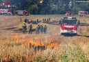 Nö: Wald- und Vegetationsbrandschulung im Abschnitt Tulln mit @fire