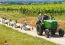 Nö: Feuerwehrjugendlager 2017 des Bezirkes Tulln in Feuersbrunn über die Bühne gegangen