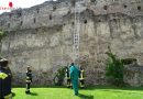 Nö: Zwei Bienenstöcke erfordern Feuerwehreinsatz in Gloggnitz