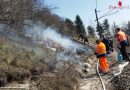 Nö: 14 Wehren unterstützten kontrollierten Abbrand von Bahndämmen zur Brandvermeidung