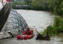 Stmk: Rund 20 m langer Baum touchiert Murinsel in Graz