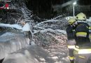 Oö: Einsatzserie in Großraming bedingt durch extremen Schneefall (knapp 1m)