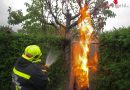 Nö: Haus- und Gasanschluss in Guntramsdorf in Brand