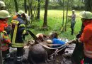 Deutschland: Pferd im Morast versunken – Feuerwehr rettet erschöptes Tier