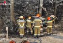 Schweiz: Feuerwehrleute befreien verletzte Frau Anprall an Baum