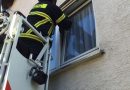 Deutschland: Katze hing in Fenster fest – Tierrettung in Herdecke