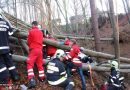 Stmk: Rettung einer eingeklemmte Person bei Forstunfall in Feisternitz