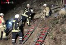 Deutschland: Feuerwehr und THW bei aufwendiger Hunderettung im Einsatz