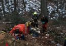 Nö: Feuerwehreinsatz im schwierigen Gelände nach Forstunfall in Kaltenleutgeben