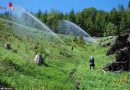 Stmk: Waldbrand als Übungsannahme für KHD 51 des Bereichsfeuerwehrverbandes Leoben