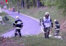 Bgld: Einsatzübung Tag der Feuerwehr in Maria Bild