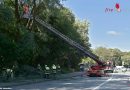 Bayern: Verkehrschaos durch Baum in München