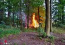 Deutschland: Feuerwehr bekämpft Brand im Wald bei Mücke