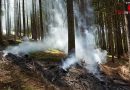 Stmk: Größeren Waldbrand in Oberaich verhindert