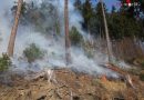 Stmk: Fünf Feuerwehren bekämpfen Waldbrand im steilen Gelände in St. Oswald bei Plankenwarth