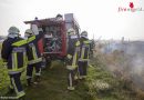 Nö: Durch Strom „gegrillte“ Krähe löst Bahndammbrand in Pfaffstätten aus