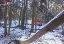 Nö: Feuerwehr Payerbach holt Baum aus Stromleitung