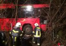 Nö: Linienbus kracht in Straßengraben → Lenker befreit, Fahrzeug in Wurzelstöcken verheddert