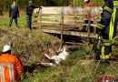 Deutschland: Reiterin bricht mit Pferd in Brücke ein