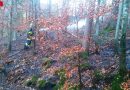 Stmk: Waldbrand in Schwanberg endete glimpflich