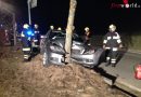 Nö: Crash gegen Baum in St. Veit/Tr. verlief glimpflich