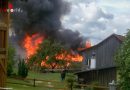 Oö: 40 Brieftauben bei Schuppenfeuer in St. Oswald bei Freistadt getötet