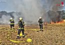 Oö: Trauner Feuerwehren löschen bei 37° C brennendes Feld