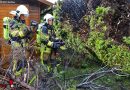 Nö: Vollbrand einer Gartenhecke in Vösendorf