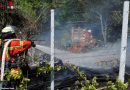 Deutschland: Flächenbrand in Weingarten fordert drei Dutzend Einsatzkräfte