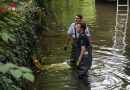 Oö: Bergung eines Tresors aus dem Mühlbach im Tiergarten Wels