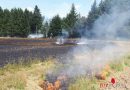 Oö: Waldbrand in Wernstein gerade noch verhindert