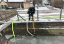 Nö: Feuerwehr Wiener Neustadt versucht Fischsterben durch Wasserumpumpen zu verhindern