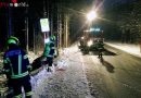 Oö: Baum stoppt Absturz im Straßengraben