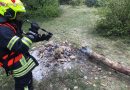 Nö: Alarmierung zum Waldbrand – Einsatzort nach 20 Minuten gefunden