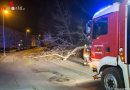 Nö: Umgestürzter Baum demoliert einen Pkw (+Video)