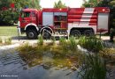 Nö: Feuerwehr verhindert Fischsterben in Feuchtbiotop