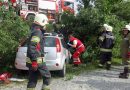 Bgld: Pkw kommt von der B63a ab und landet im Straßengraben