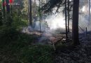 Nö: Beginnenden Waldbrand in Penk rasch gelöscht