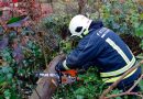 Bgld: Umgestürzter Baum blockiert eine Lieferantenzufahrt