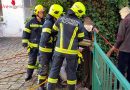 Oö: Feuerwehr befreit Reh aus Gartenzaun