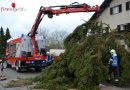 Oö: Sturm fordert Feuerwehren im Bezirk Schärding