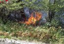 T: Feuerwehrmann wurde während Waldbrand Vater