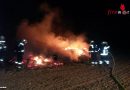 Nö: Lotsen am Airport-Tower bemerken Flurbrand und alarmieren die Feuerwehr